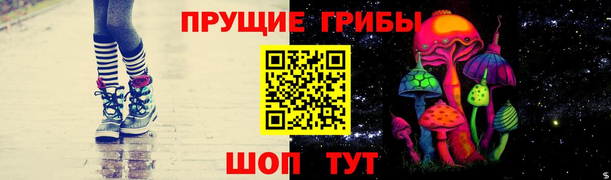 Чапаевск  Псилоцибиновые грибы Cubensis  Вход с VPN 