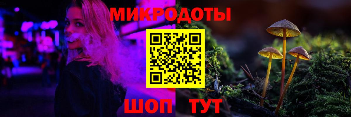 Псилоцибиновые грибы Cubensis Чапаевск